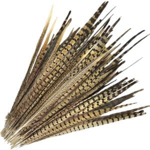 pluma de faisan de 45cm