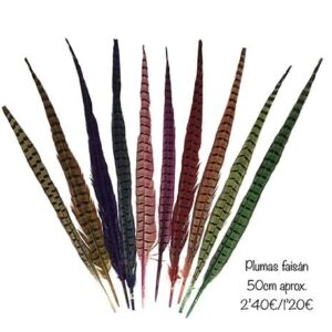 pluma faisÁn 50cm (colores)