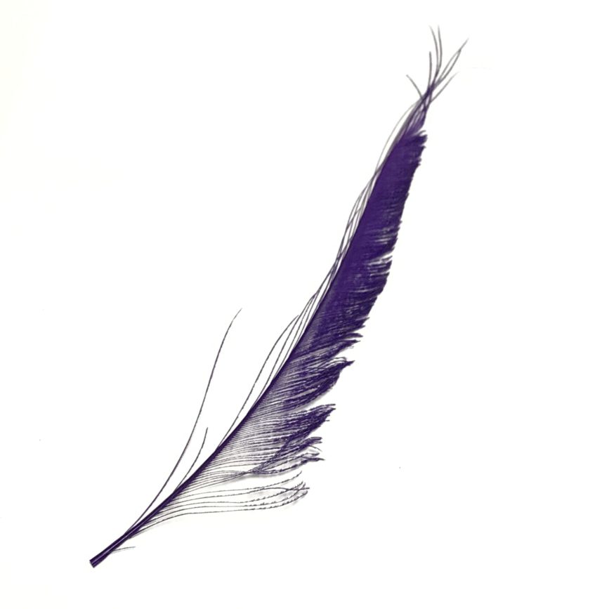 PEACOCK FEATHER SWORD