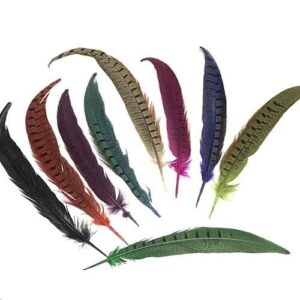 pluma de faisÁn 22/27cm (colores)