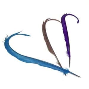 pluma 256 0330 (colores)