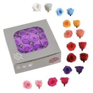 rosas mini preservadas al por mayor