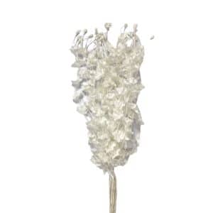 TIRA DE FLORES BLANCAS