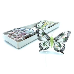 PACK MARIPOSAS 343505