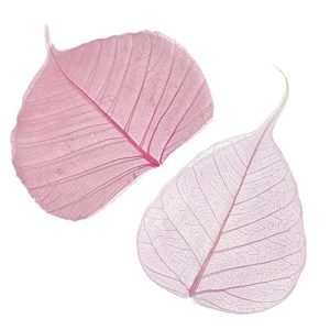 SPECIAL PRESERVED LEAVES 10CM