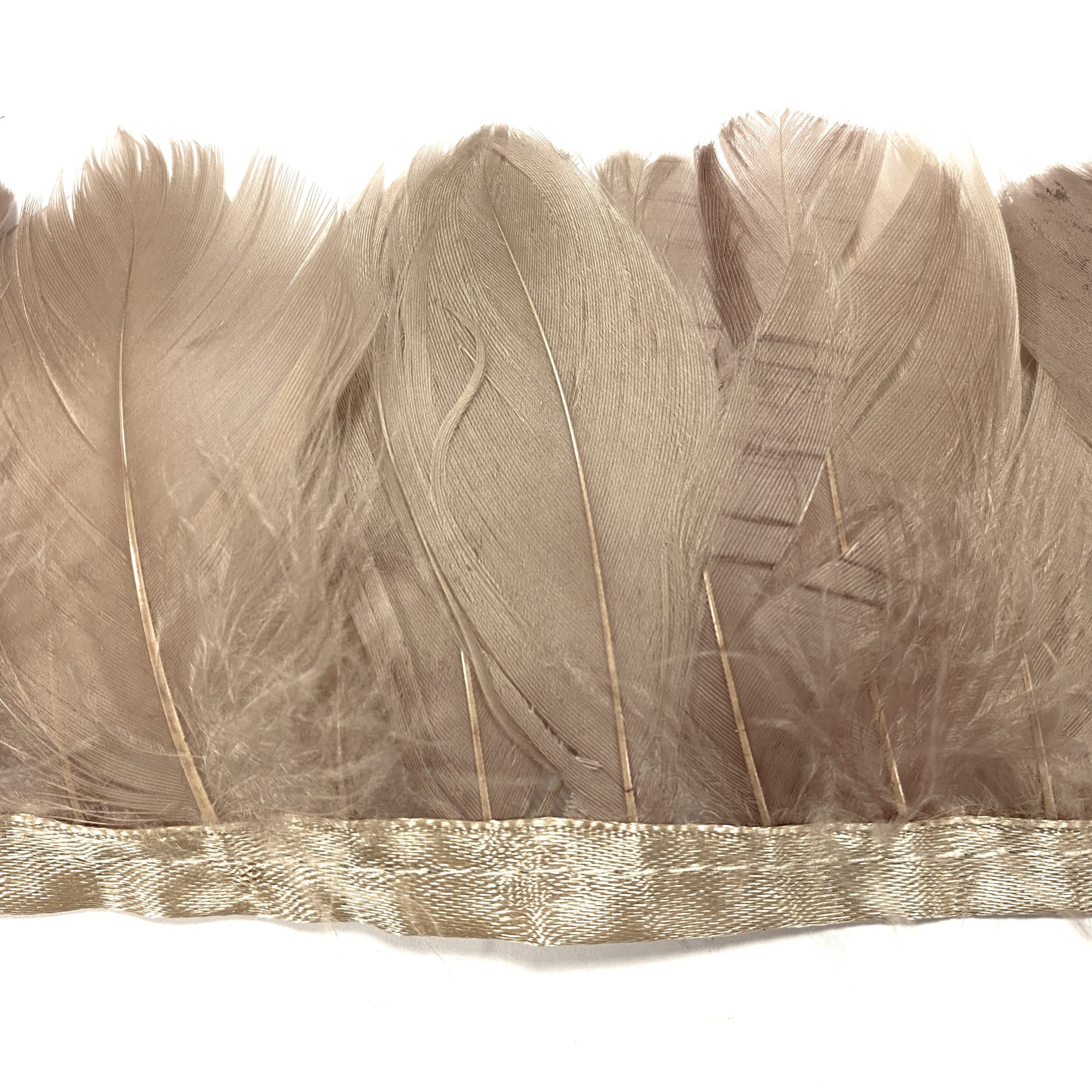 Indígena frecuentemente Solicitante Tira de plumas de oca metreadas | Vindastore.com