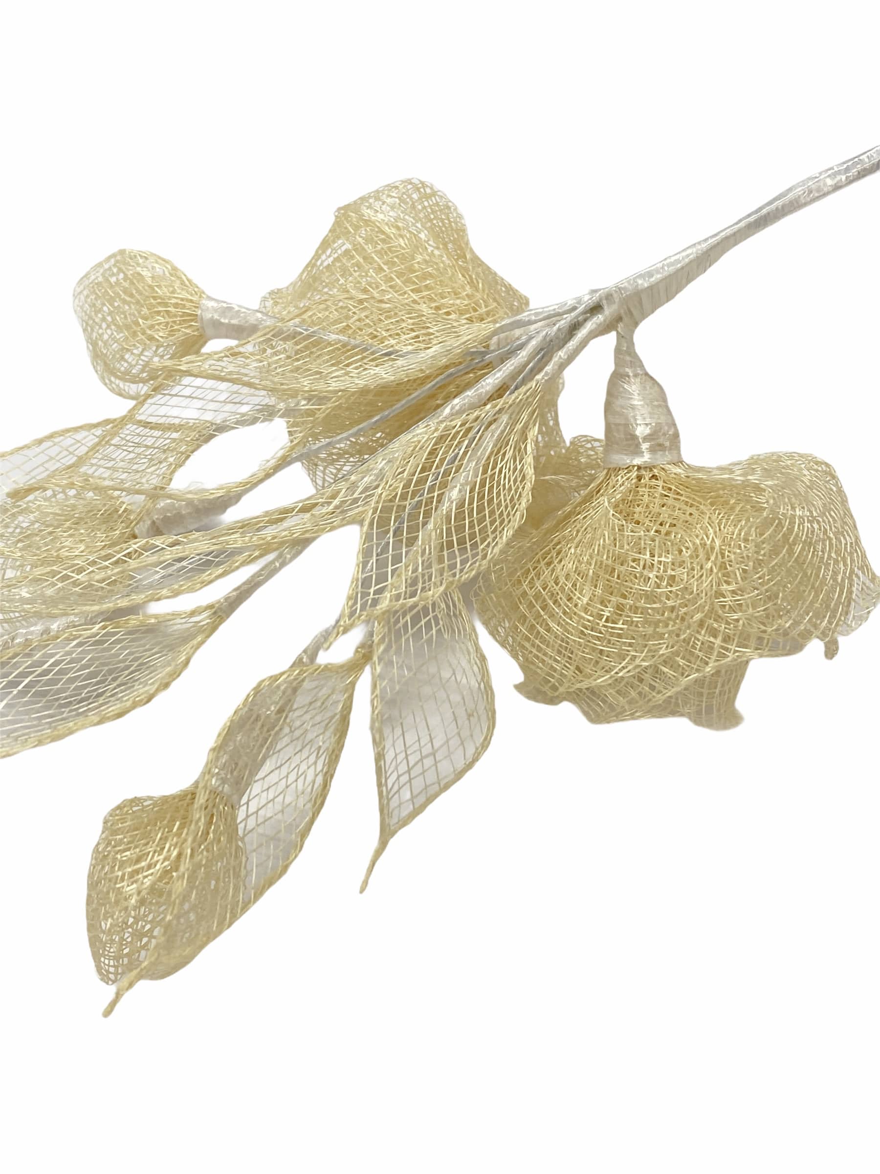 FLORES DE SINAMAY