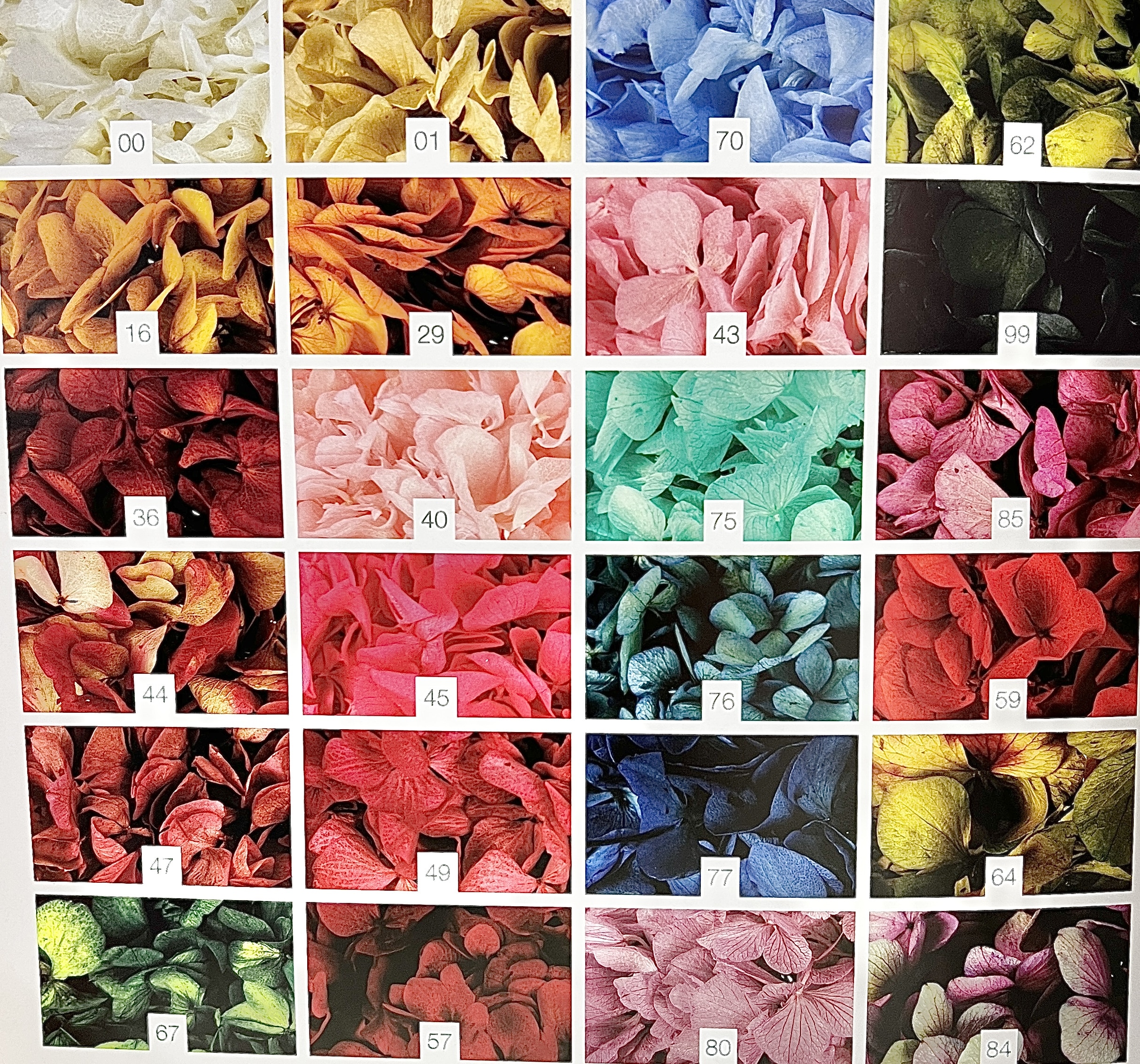 RAMILLETE DE FLORES PRESERVADAS - Imagen 2