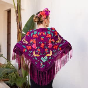 mantoncillo de flamenca mariposas berenjena portada