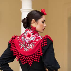 mantoncillo de flamenca de madroÑos ana rojo por detras