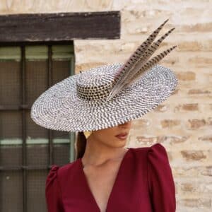 pamela choice feathers portada
